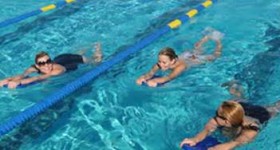 Lap Swimmers