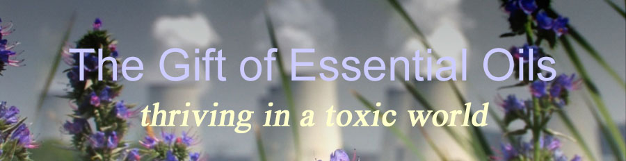 Title: Gift of Essential Oil superimposed on image of wild flowers by pond with nuclear plant on opposite shore.