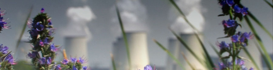 Wildflowers by pond across from nuclear plant