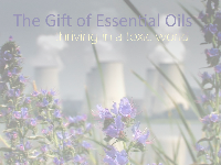 The Gift of Essential Oils, thriving in a toxic world | video