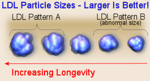 Comparison of LDL Cholesterol Particle Sizes